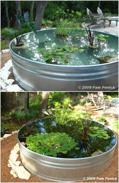 bathtub pond