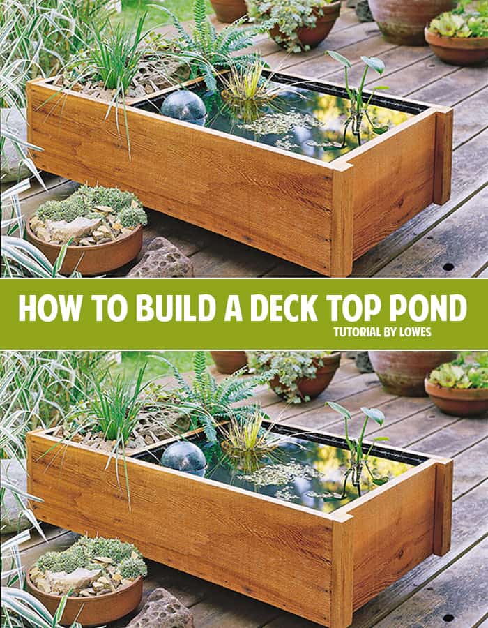Wooden deck top pond