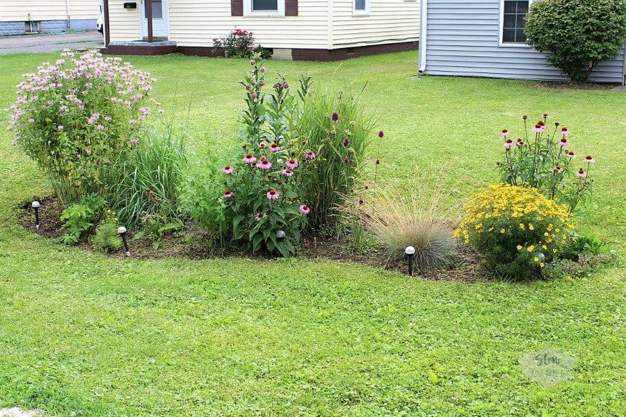 Diy perennial flower bed