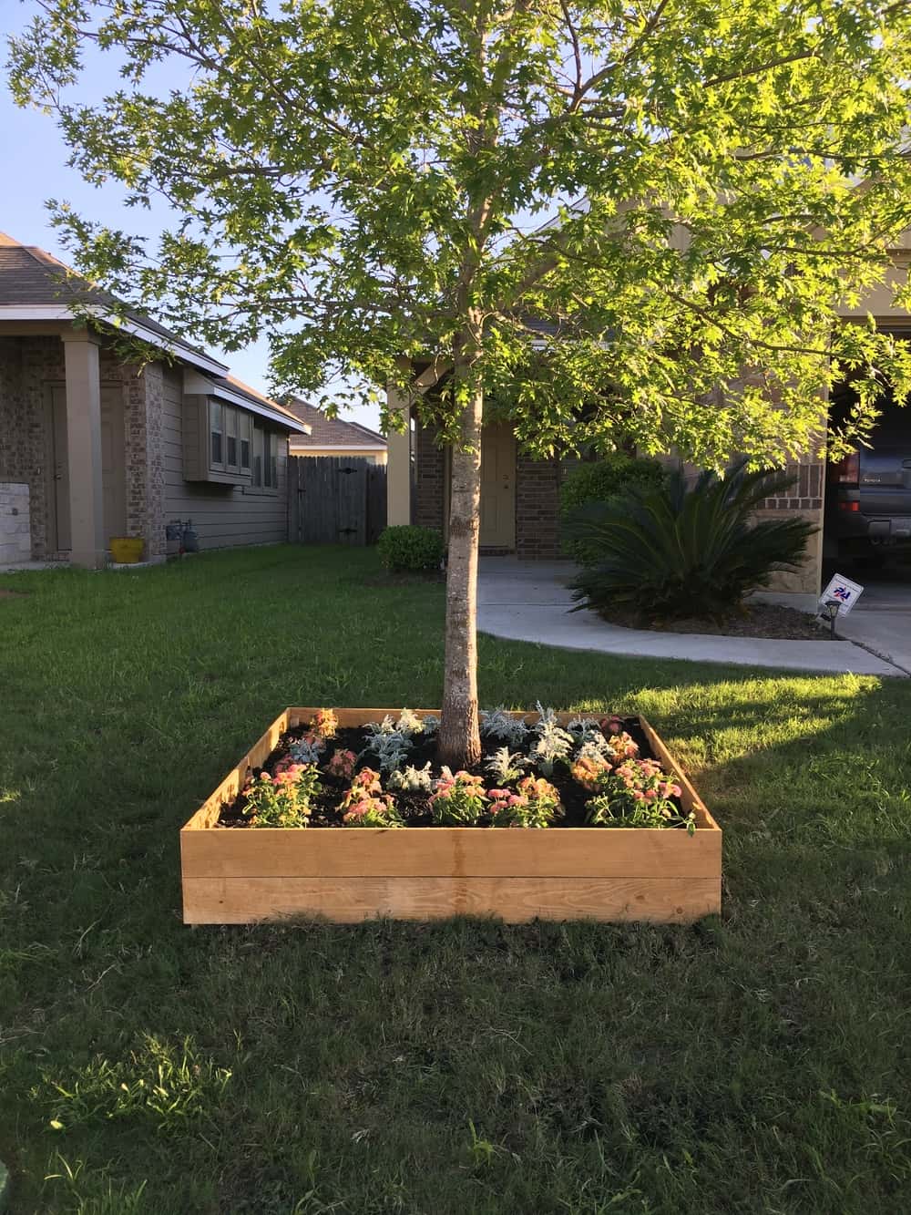 Diy raised tree flower bed