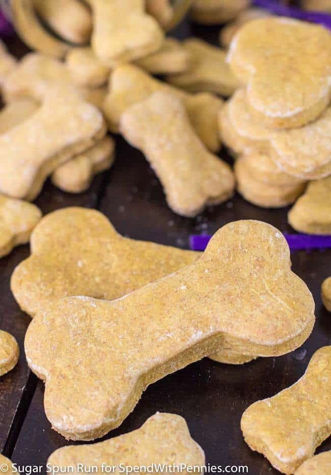 Pumpkn dog treats
