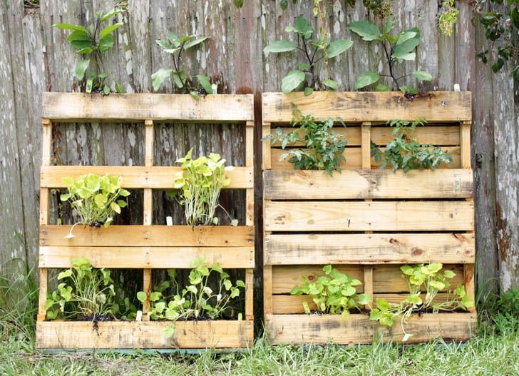 Recycled leaning pallet garden