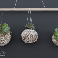 String wrapped hanging succulent balls
