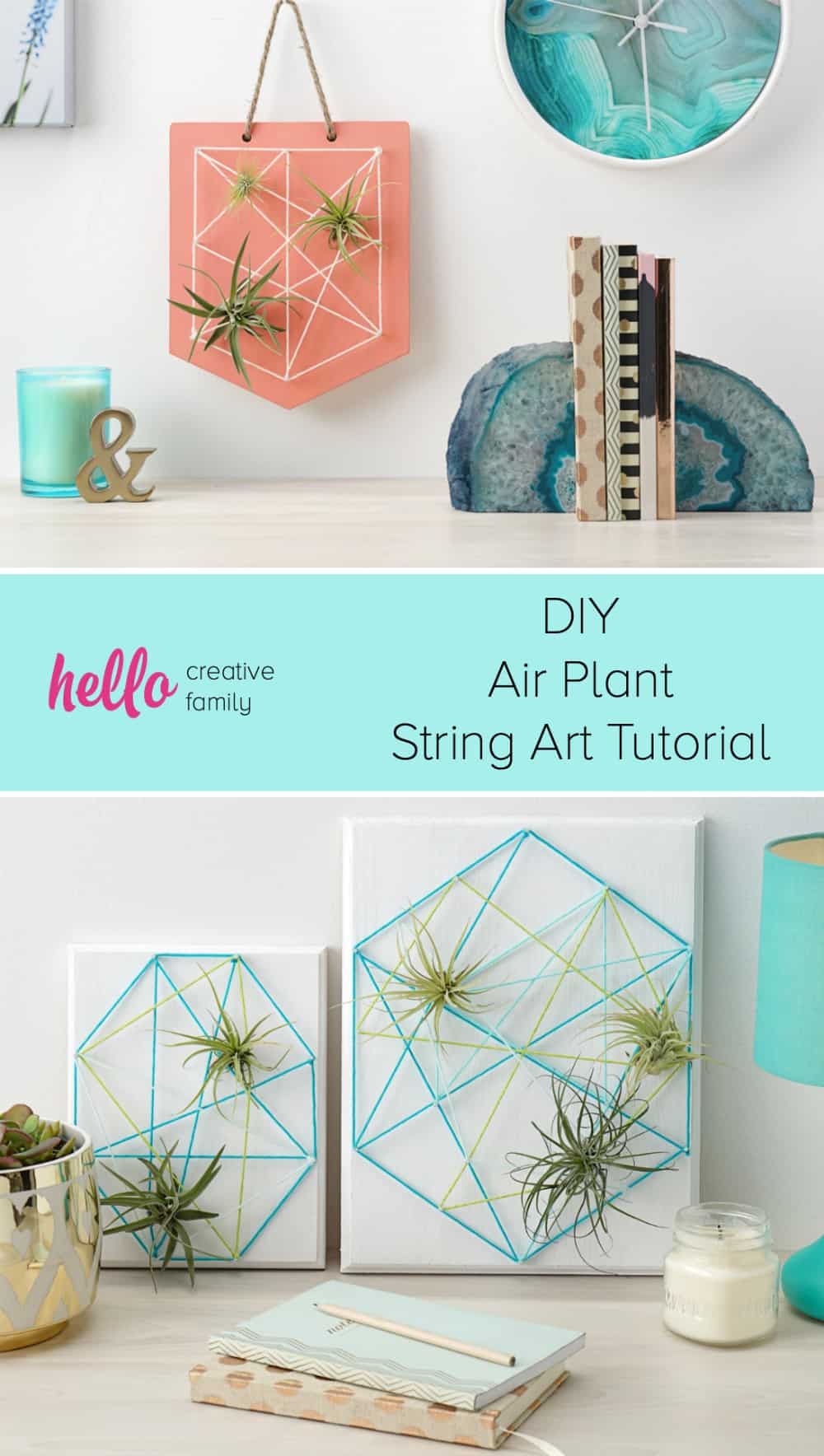 Diy air plant string art