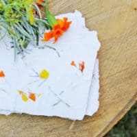 Homemade harvest herb paper