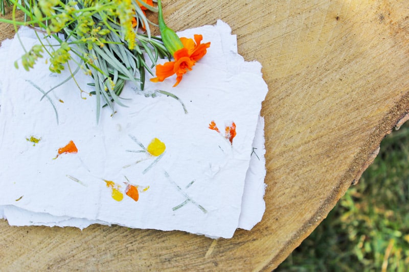 Homemade harvest herb paper