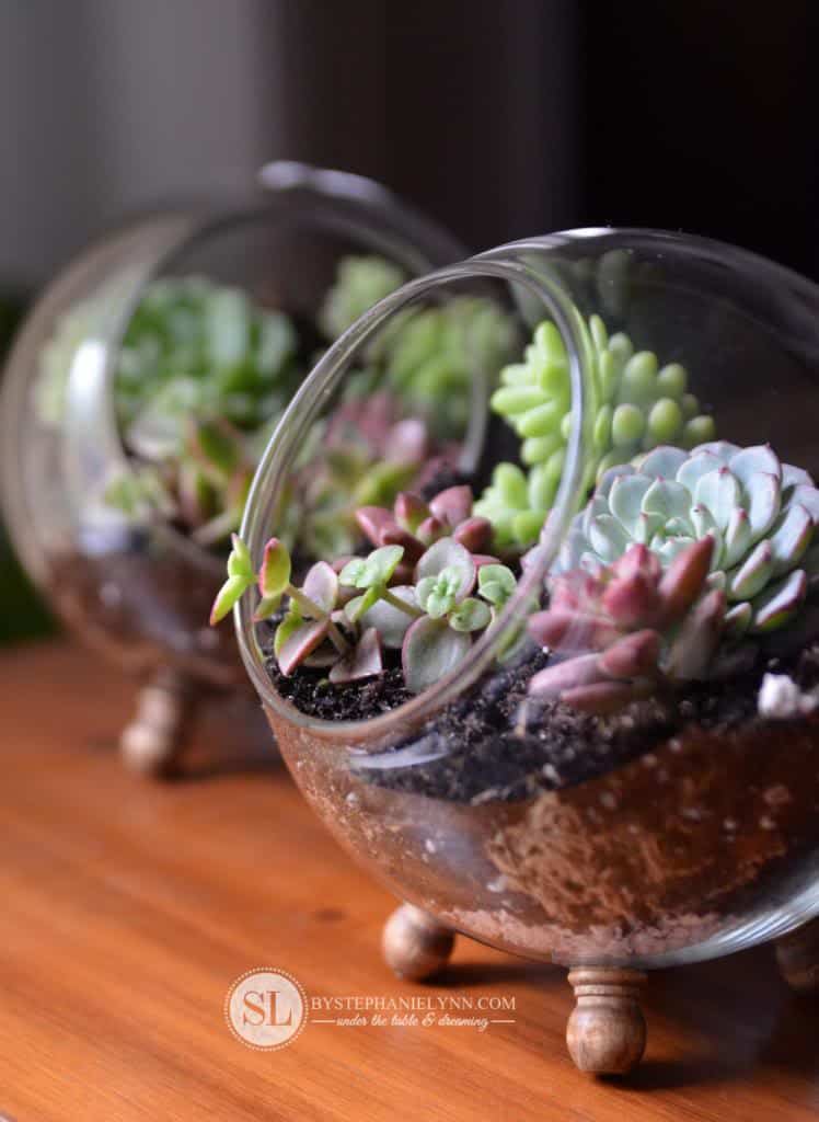 Diy glass globe terrarium