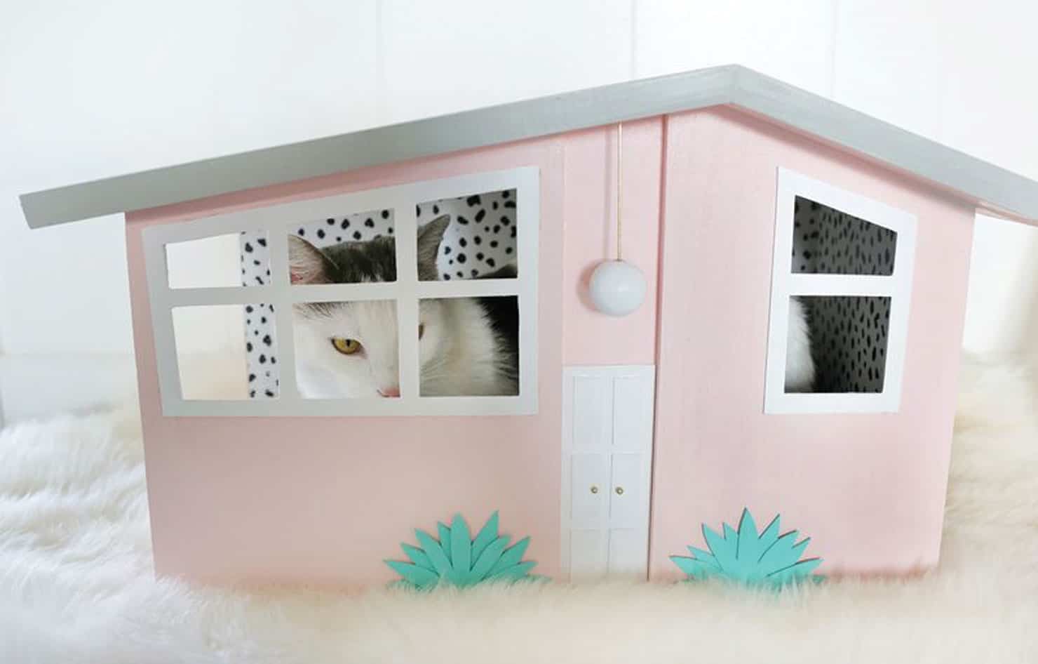 Palm springs inspired cat house