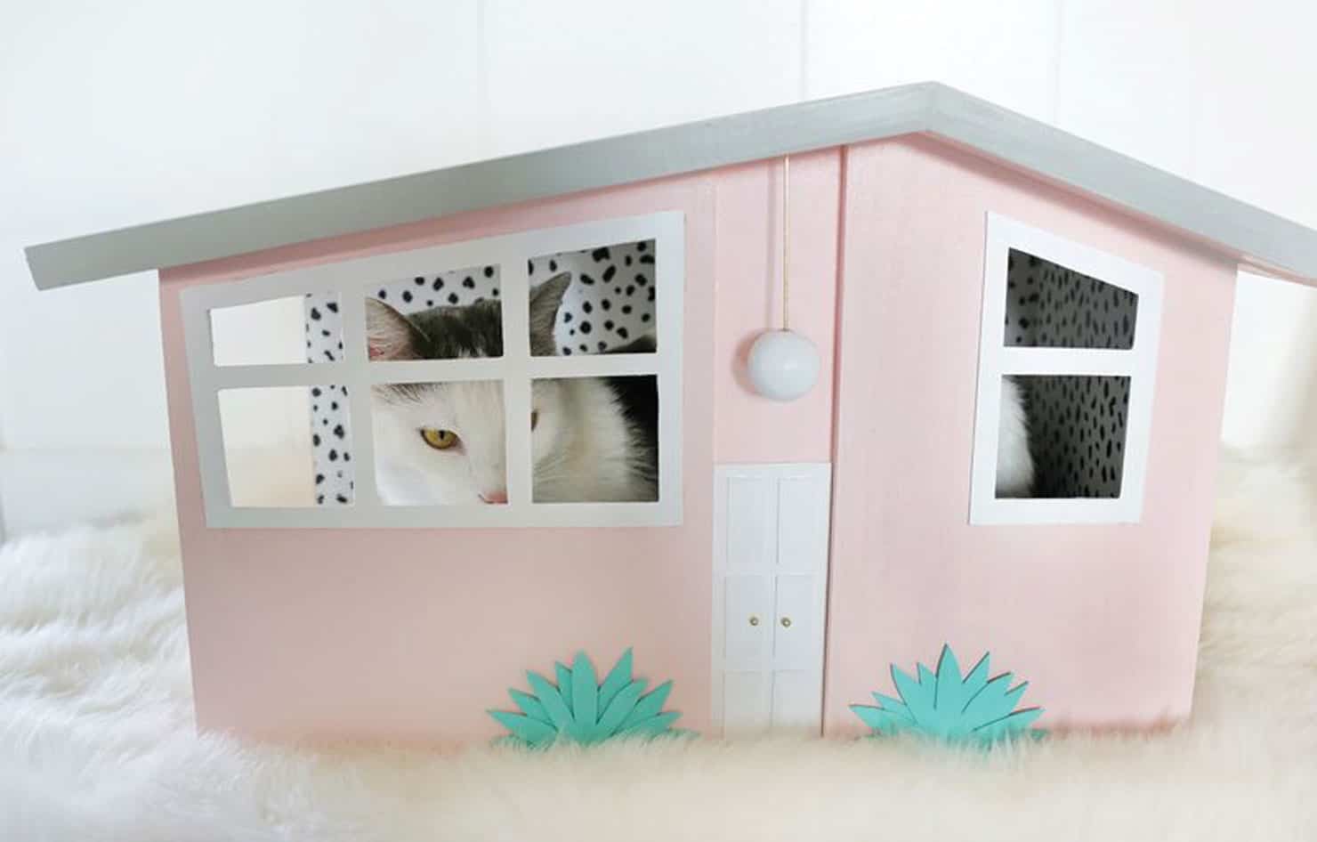 Cardboard cat house outlet ideas