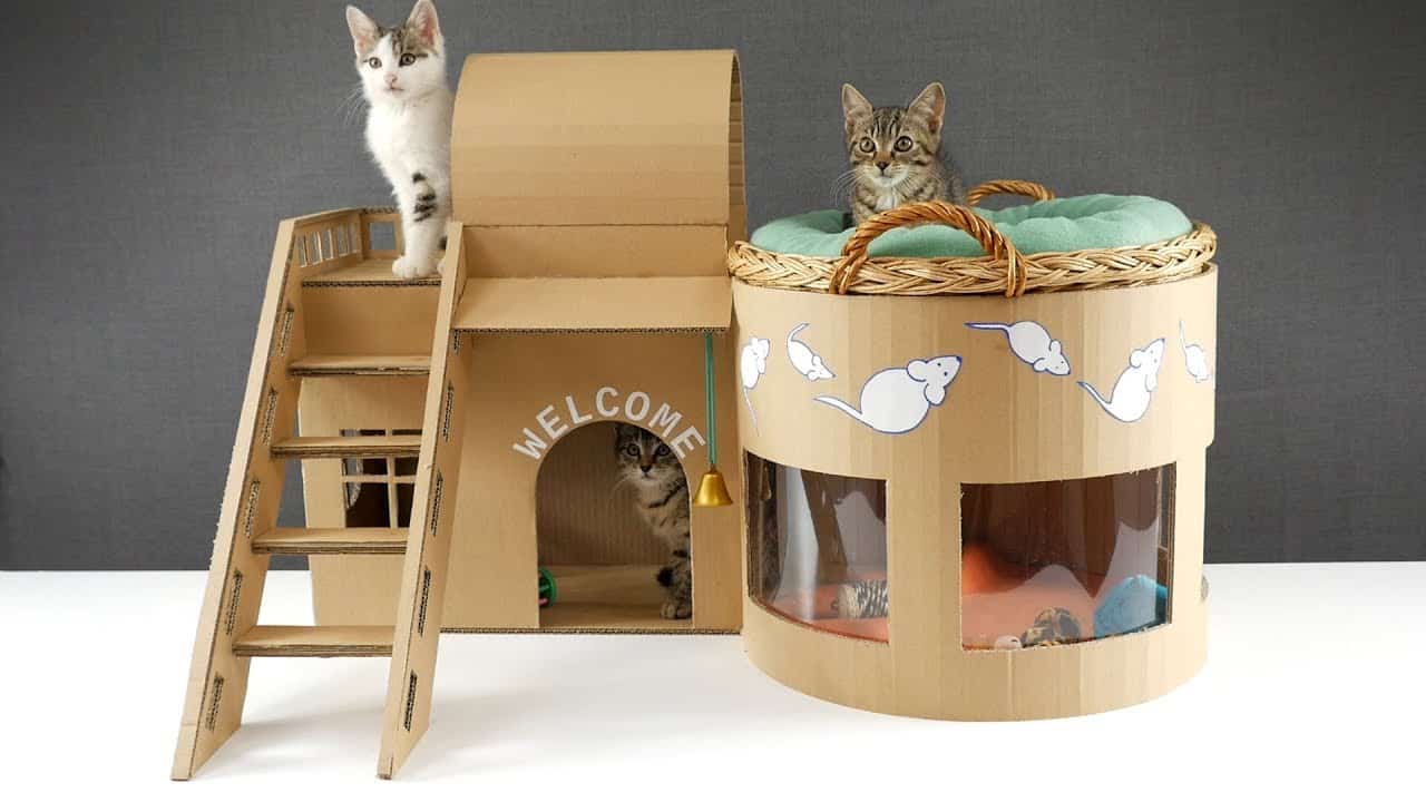 Rounded cardboard cat house with ladder