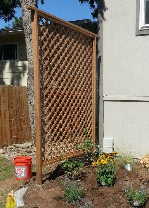 Simple Backyard Privacy Trellis