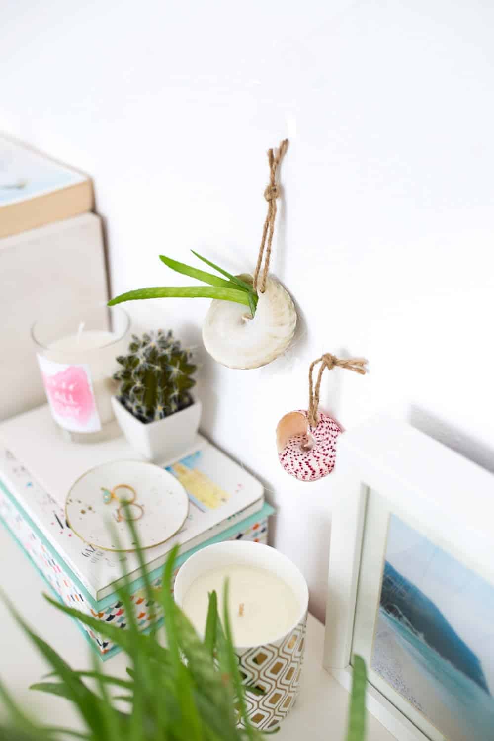 Shell hanging planter diy