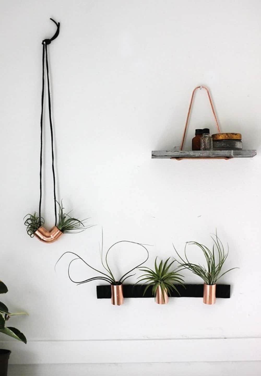 Copper airplant holders diy