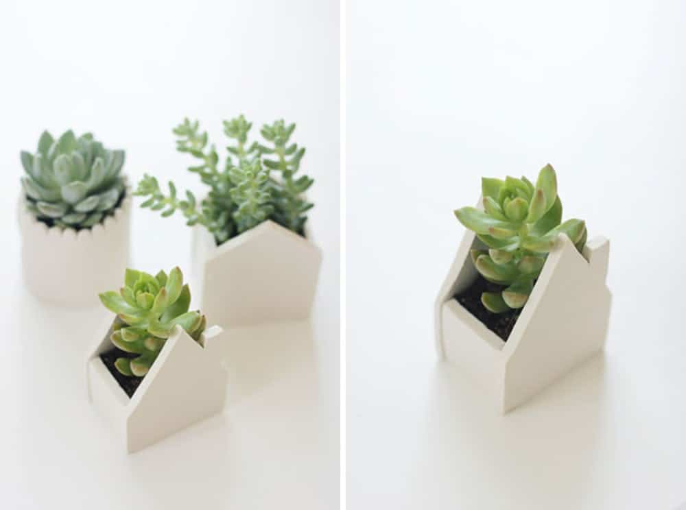 14 DIY Planters To Create For Both Inside and Outside The House