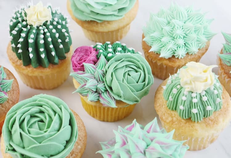 Succulent cupcake decorating tutorial