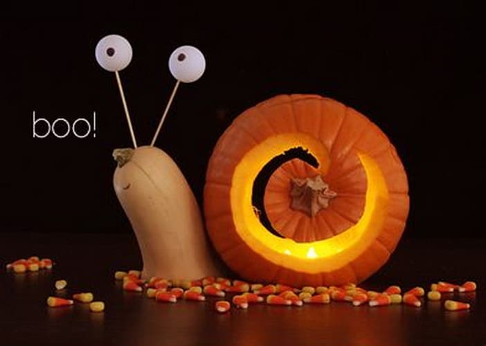 3d snail jack o lantern