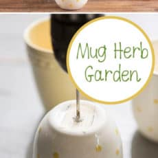 Diy mug herb gardens