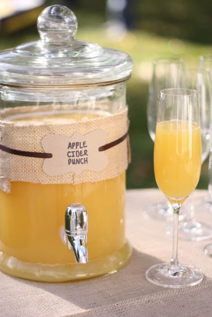 Homemade apple cider punch