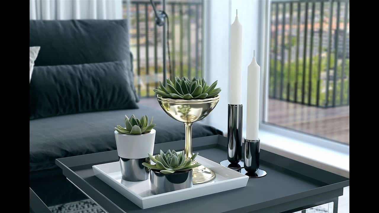 Modern succulent coffee table decor