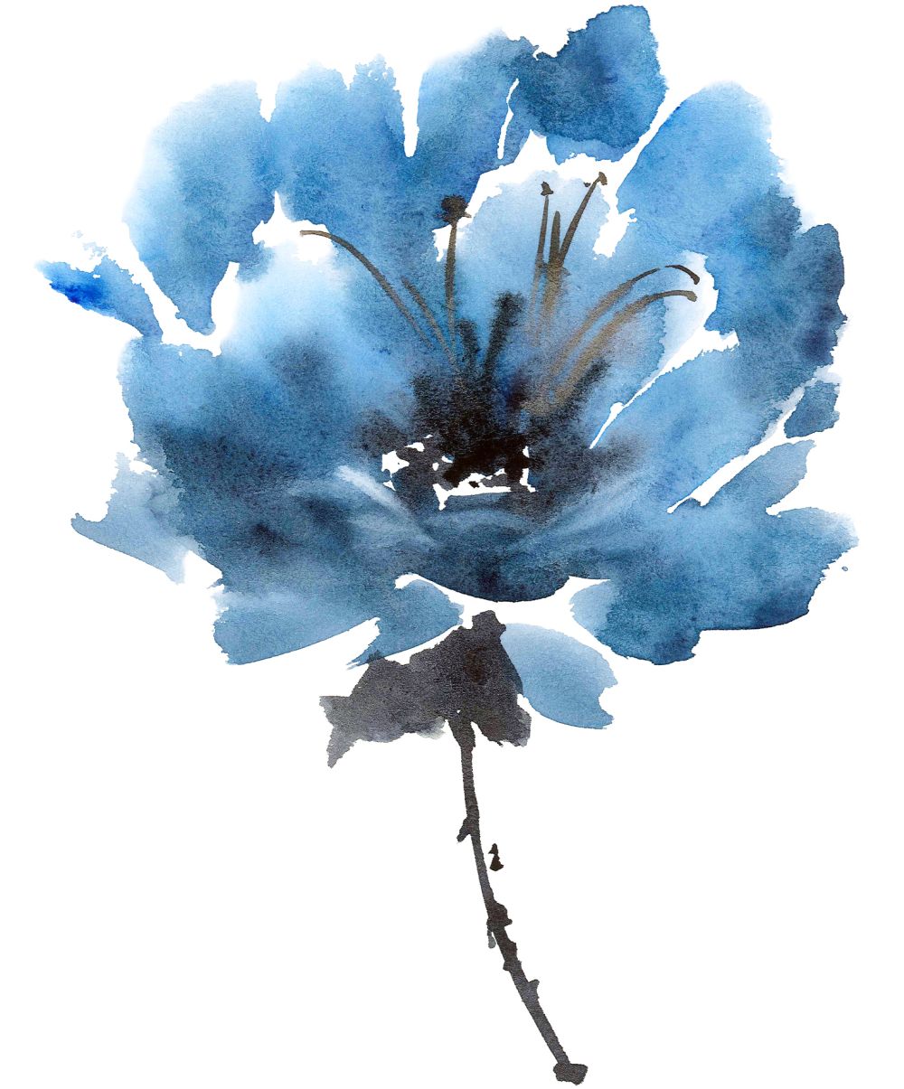 Watercolor peony Blue Flower Painting