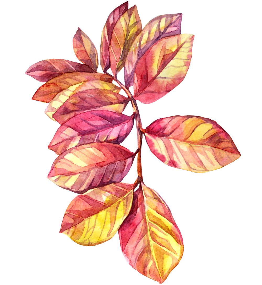 Watercolor pink and yellow leaves
