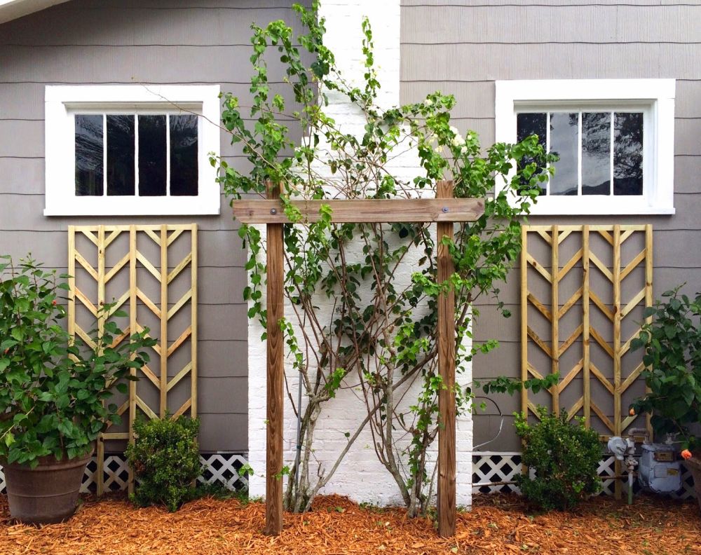 Chevron lattice trellis