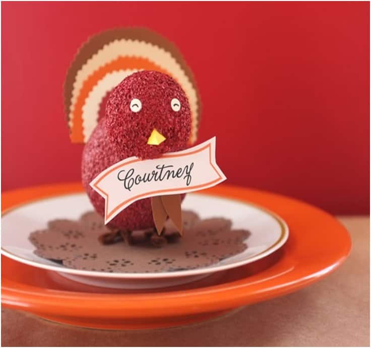 Fun foam ball and paper thanksgiving turkey place cards