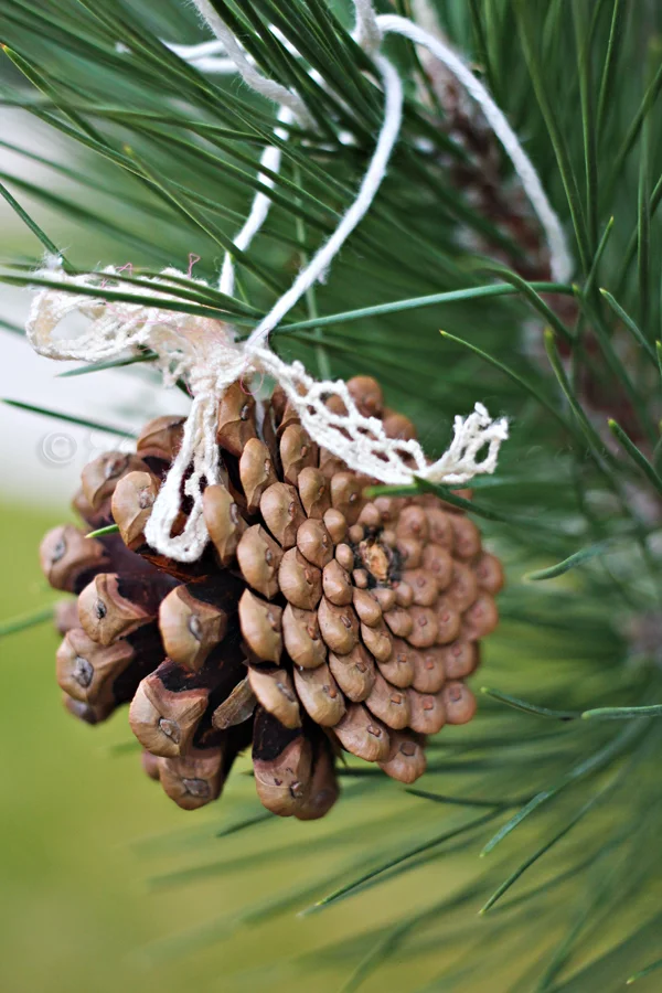 Simple, old fashioned pinecone ornaments