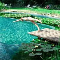 Diy natural pool