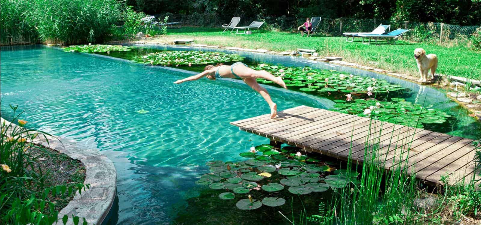 Diy natural pool