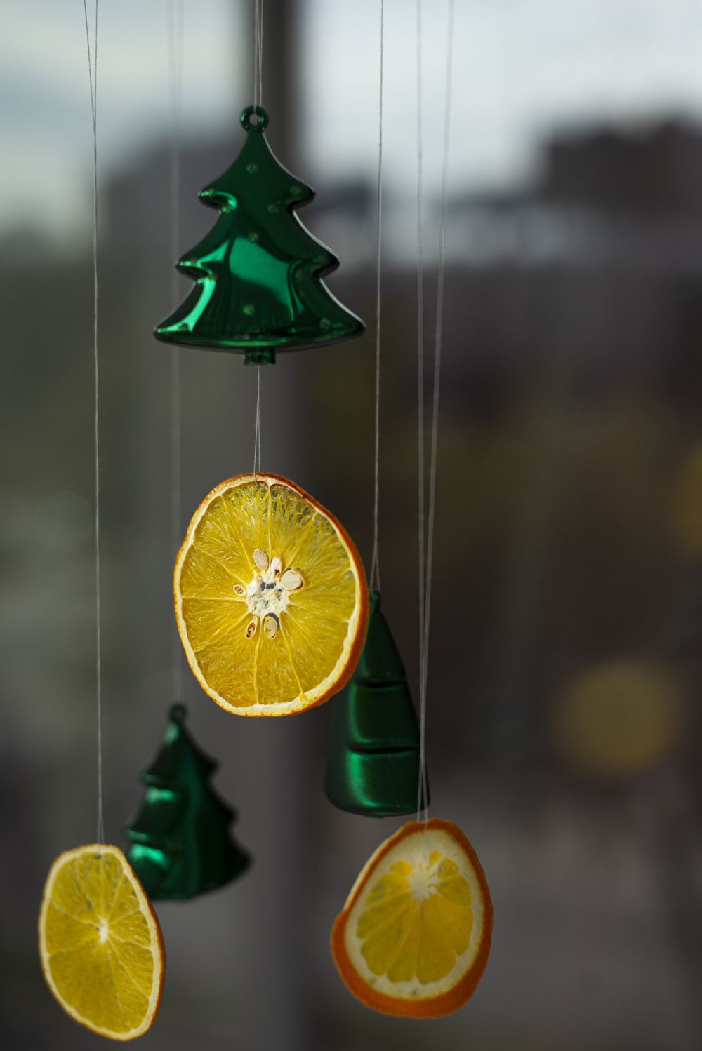 Dried orange circle decorations christmas window decorations