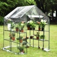 Kingso mini greenhouse