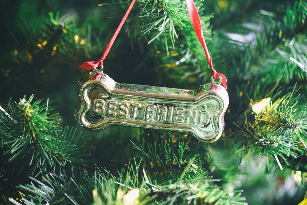 Personalized dog christmas ornaments