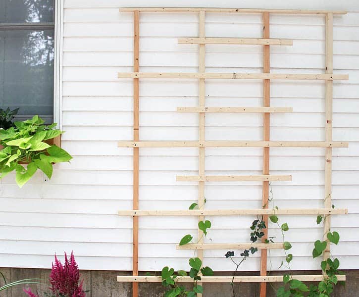 Scrap wood custom trellis