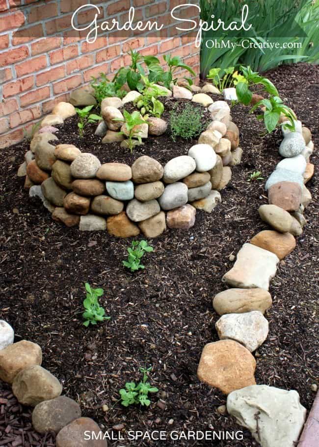 Spiralled stone vegetable garden