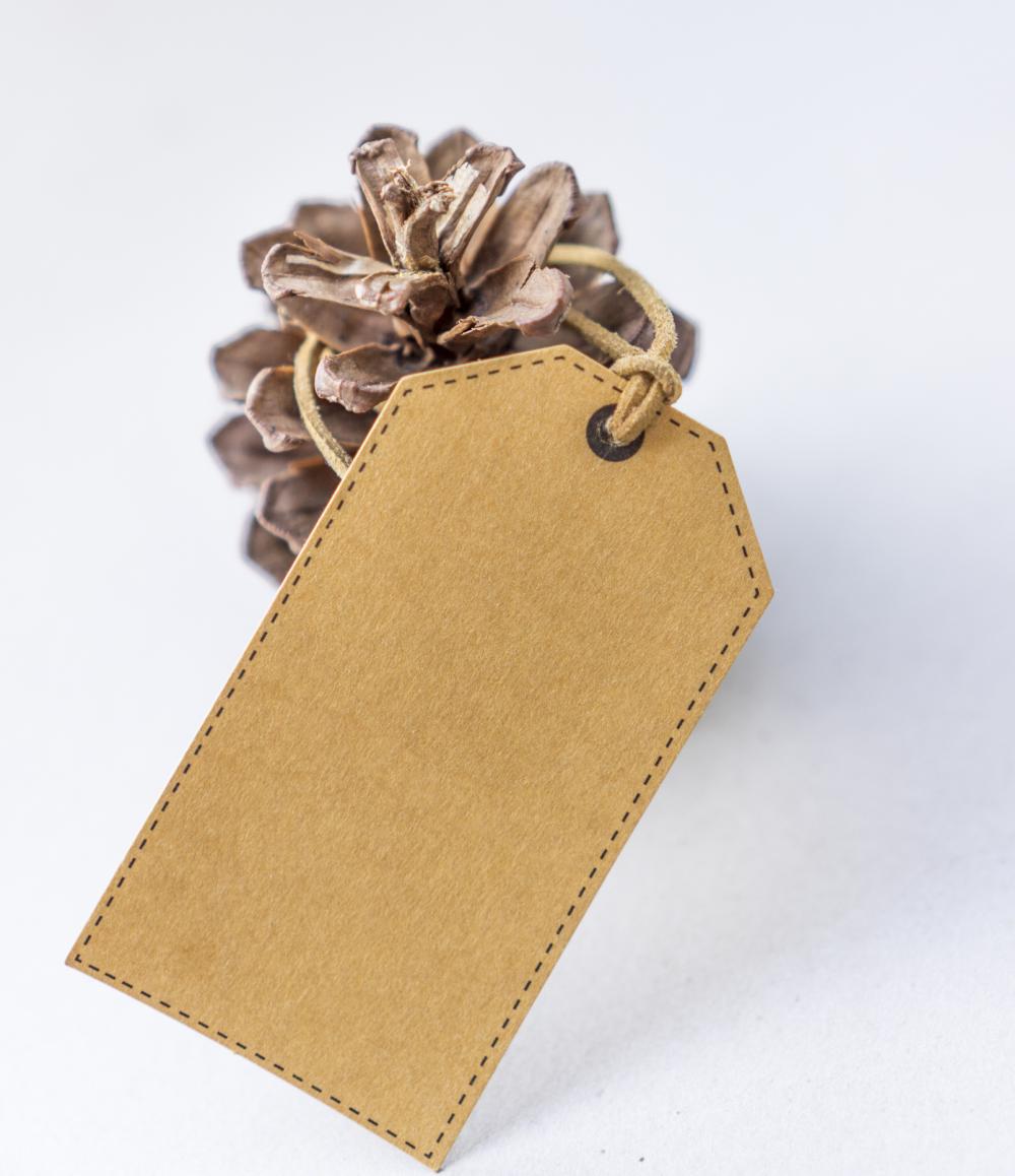 Table card holders pinecone card