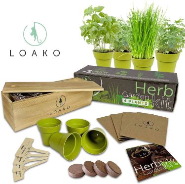 Loaka indoor herb garden kit