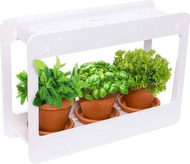 Mindful design led indoor herb garden