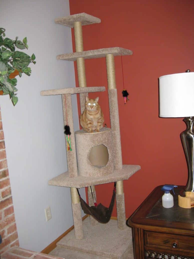 Carpet covered cat tree with a hammock