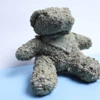 Concrete teddy bear