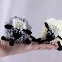 Diy funny pom pom sheep for kids and school