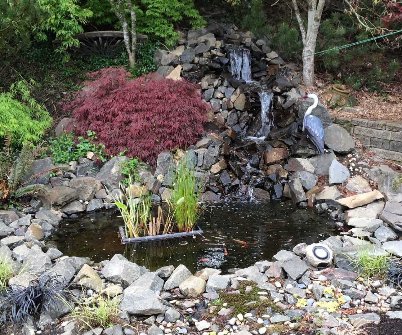 Pond and waterfall diy