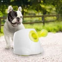 All for paws interactive automatic ball launcher