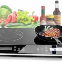Duxtop lcd portable double induction cooktop