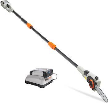 40v max 8 inch cordless pole saw with telescopic pole