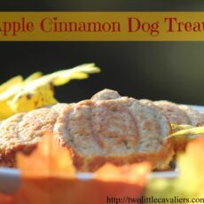 Apple cinnamon dog treats