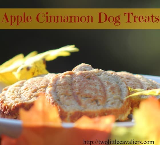 Apple cinnamon dog treats