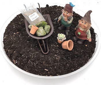 Diy gnome garden kit