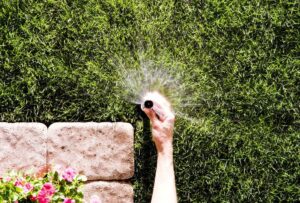 Rain Bird Professional Pop-Up Sprinkler