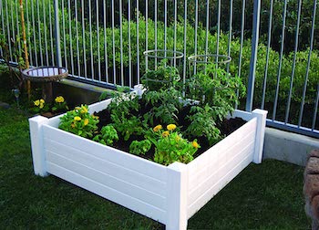 Raised 48 by 48 by 15 inch garden box kit